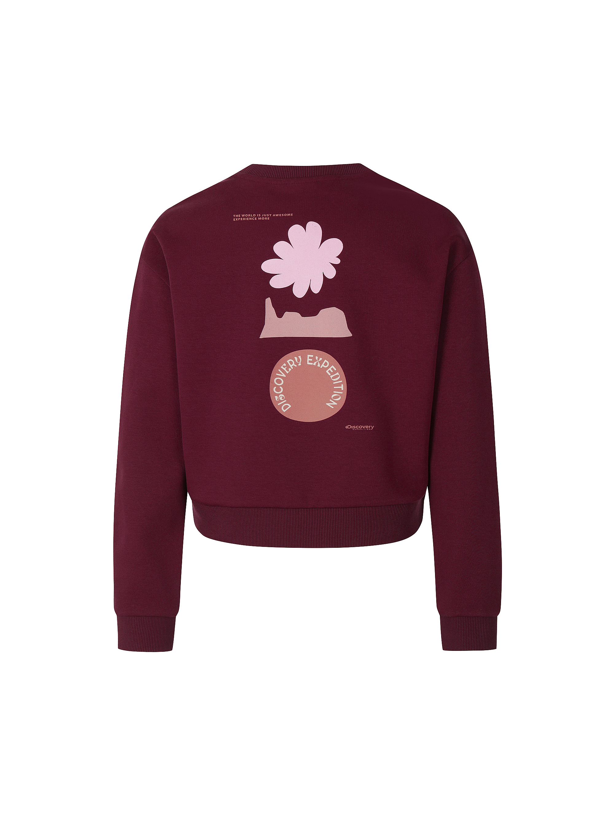 W's Graphic Sweatshirt